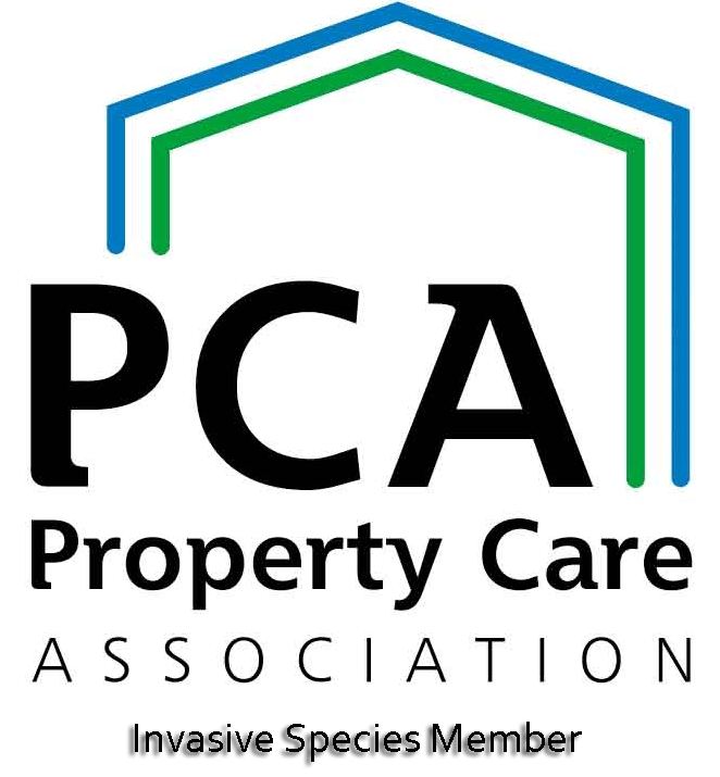 Property Care Association Japanese Knotweed